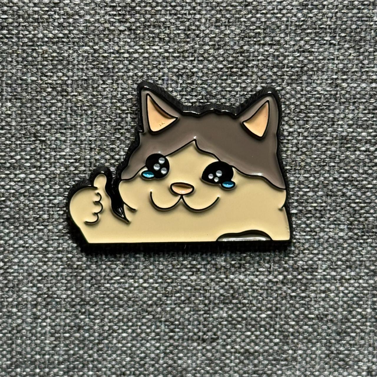 Pin nuevo 1